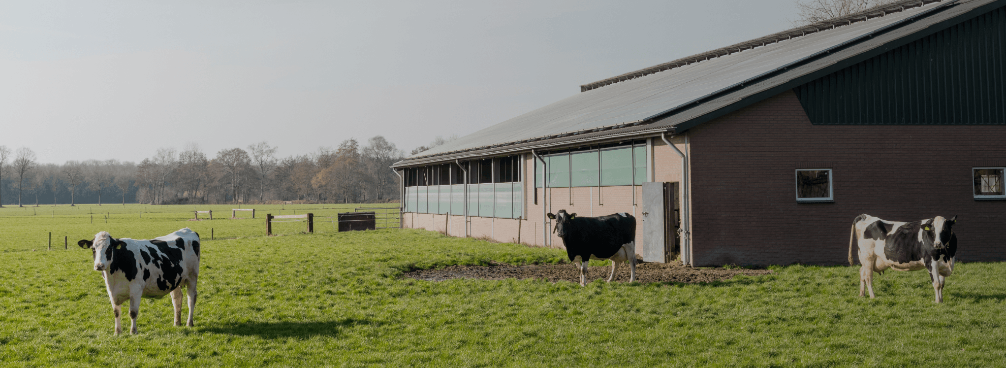 Exploitation agricole avec solution énergétique intelligente